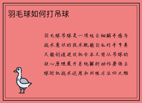 羽毛球如何打吊球